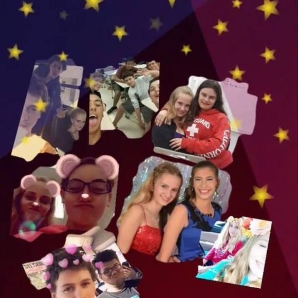 Meet your Posher, Stormie - Picture 1 of 1